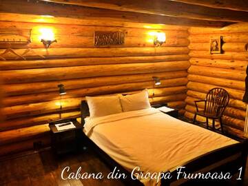 Фотографии Лоджи CABANA DIN GROAPA FRUMOASA г. Рышнов (Румыния) №3 Фото Лоджи CABANA DIN GROAPA FRUMOASA г. Рышнов 3