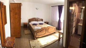 Фото номера Двухместный номер с 1 кроватью и видом на горы Гостевой дом Pensiunea Casa Ecaterina г. Рышнов 33