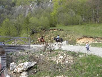 Фото номера Улучшенное шале Лоджи Farmhouse Rosehip Romania Brasov г. Рышнов 38