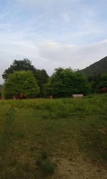 Фото номера Улучшенное шале Лоджи Farmhouse Rosehip Romania Brasov г. Рышнов 43