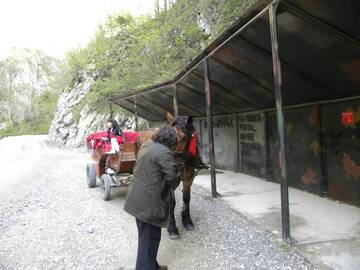 Фото номера Улучшенное шале Лоджи Farmhouse Rosehip Romania Brasov г. Рышнов 48
