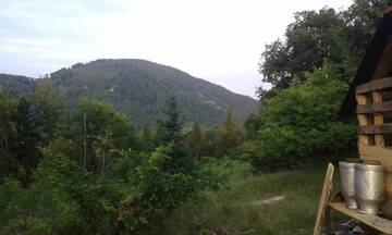 Фото номера Улучшенное шале Лоджи Farmhouse Rosehip Romania Brasov г. Рышнов 49
