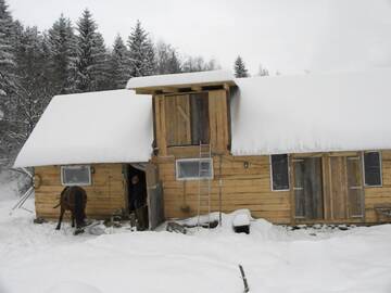 Фото номера Улучшенное шале Лоджи Farmhouse Rosehip Romania Brasov г. Рышнов 22