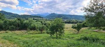 Фото номера Шале с 3 спальнями Шале Cosy Forest Chalet г. Рышнов 47
