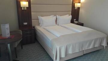 Фото номера Семейный номер (для 2 взрослых и 1 ребенка) Отель Radsor Hotel г. Рышнов 3