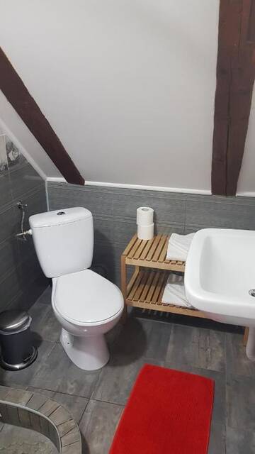 Фото номера Двухместный номер с 1 кроватью - Мансарда Проживание в семье Casa Bergwald г. Рышнов 15