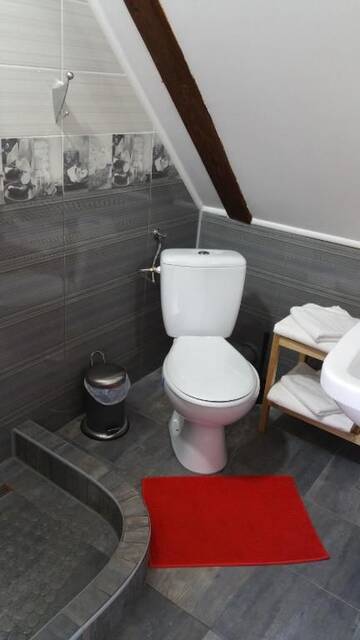 Фото номера Двухместный номер с 1 кроватью - Мансарда Проживание в семье Casa Bergwald г. Рышнов 19