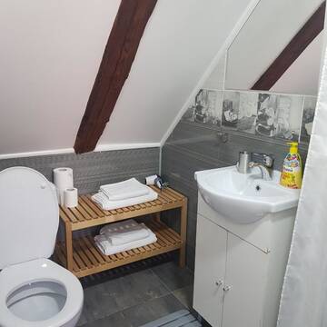 Фото номера Двухместный номер с 1 кроватью - Мансарда Проживание в семье Casa Bergwald г. Рышнов 16
